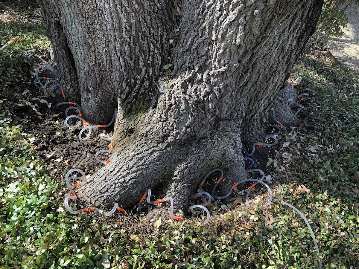 Detailed Shrub and Hedge Trimming job site in Sherwood